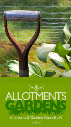 allotments and gardens